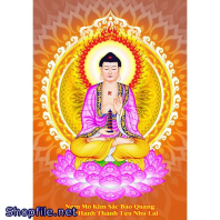 Hình Dược Sư Lưu Ly Quang Vương Phật
